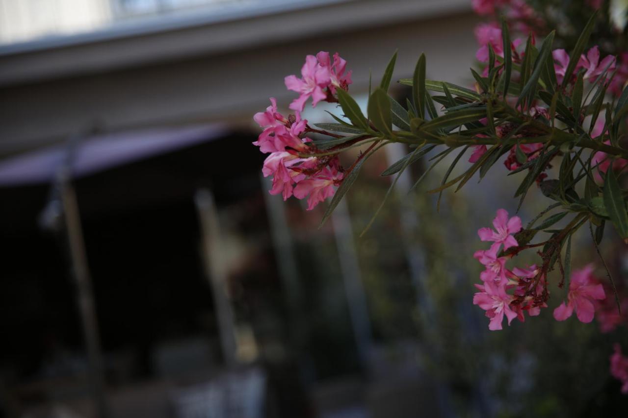 Guest House Lorenta Vodice Exterior foto